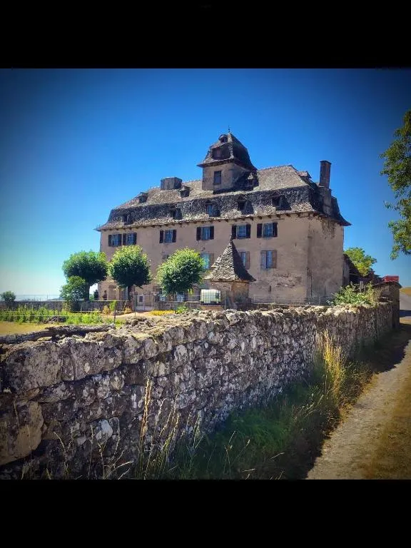 Château de Cours, chambre ou suite de château à Sénezergues