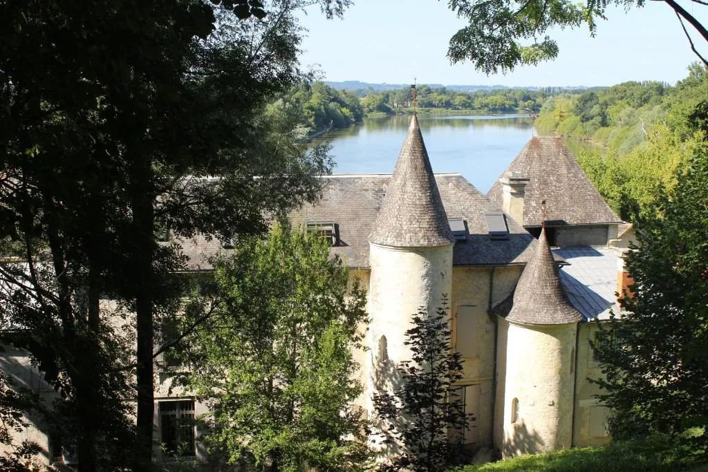 Château de Courtebotte, chambre ou suite de château à Saint-Jean-de-Blaignac