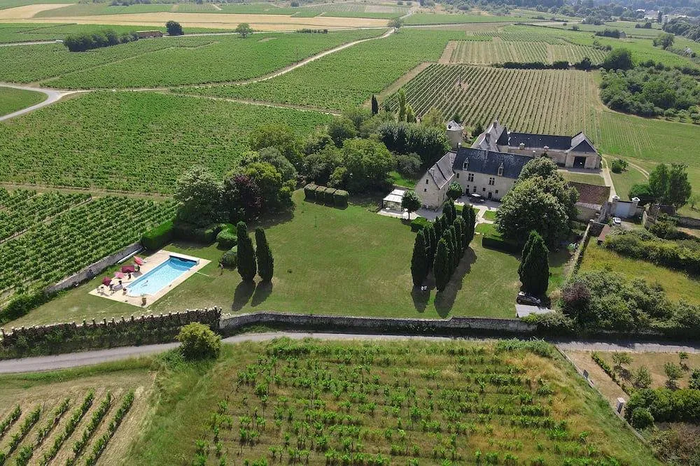 Château de Danzay, château entier à Beaumont-en-Véron