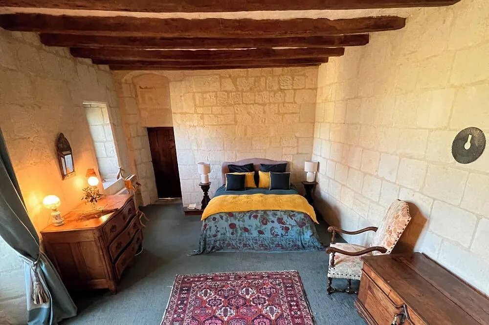 Château de Danzay à Beaumont-en-Véron, photo 2