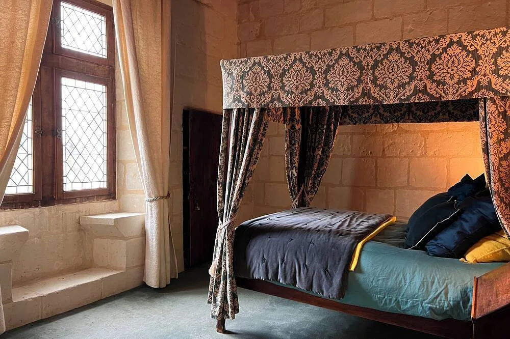 Château de Danzay à Beaumont-en-Véron, photo 4