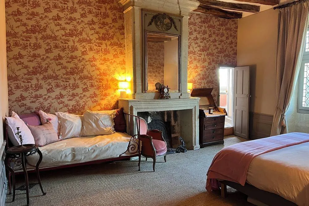 Château de Danzay à Beaumont-en-Véron, photo 5