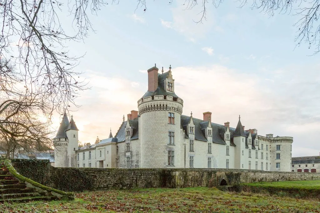 Château de Dissay, chambre ou suite de château à Dissay