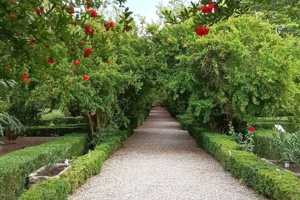 Château de Floure, l'appartement de l'aile à Floure, photo 6