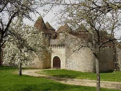 Château de Forges à Concremiers, photo 5