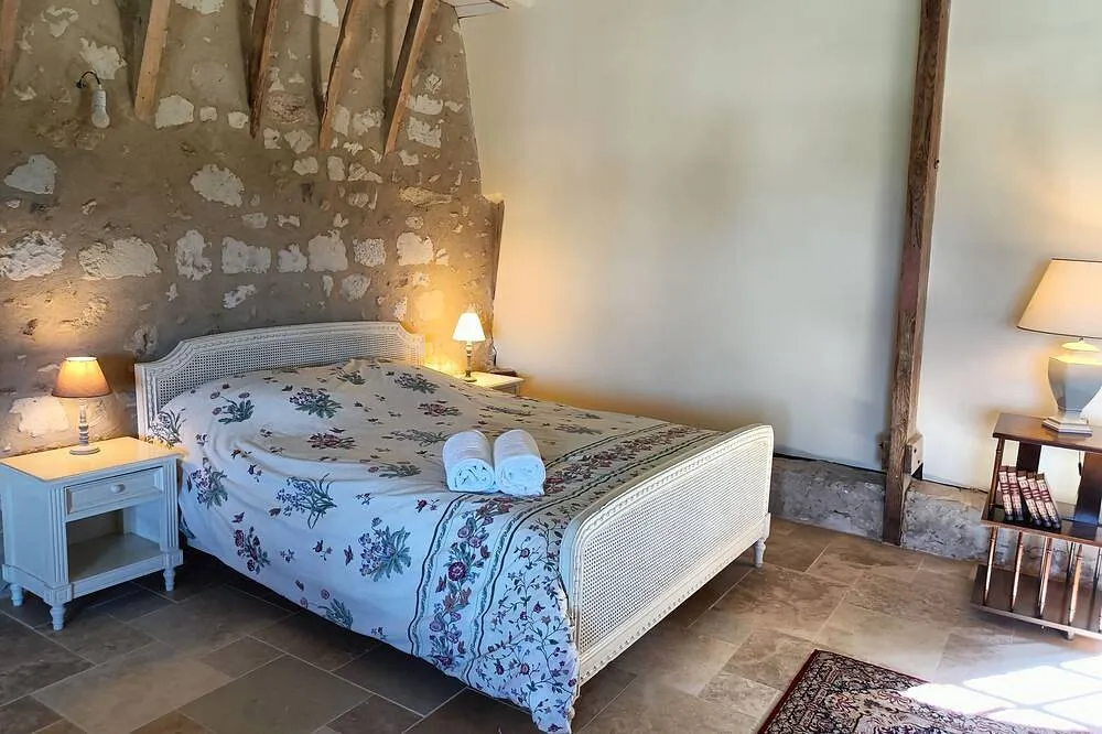 Château de Gizeux, le Loft romantique à Gizeux, photo 2