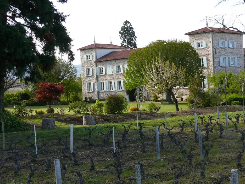 Château de Grandmont à Blacé, photo 6