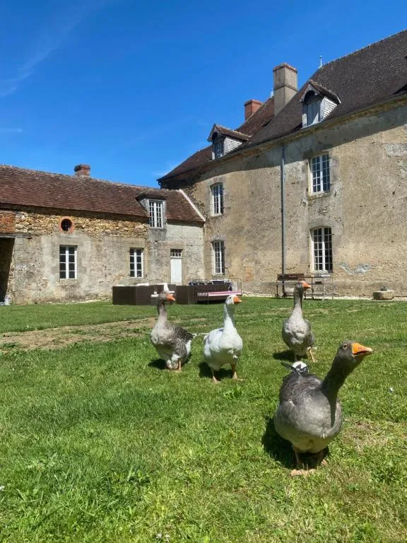 Château de Grandsagne à Bonnat, photo 6