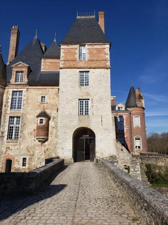 Château de La Bussière, chambre ou suite de château à La Bussière