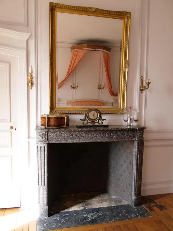 Château de la Foltière à Le Châtellier, photo 6