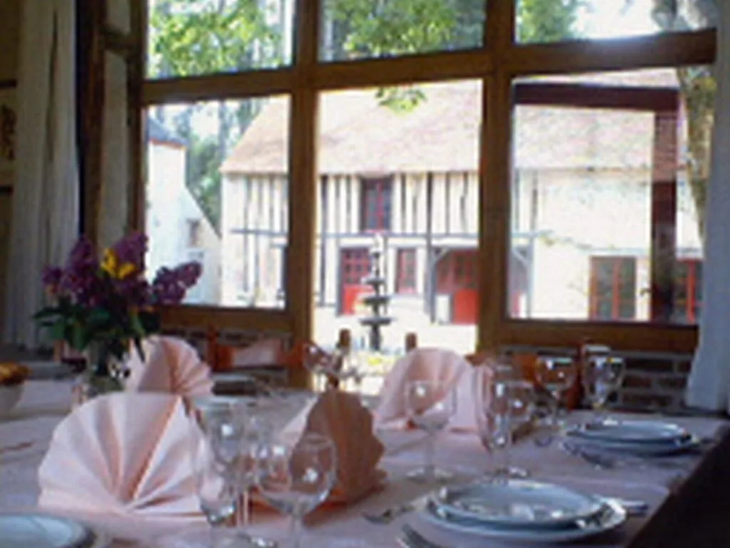 Château de la Frégeolière à Theillay, photo 5