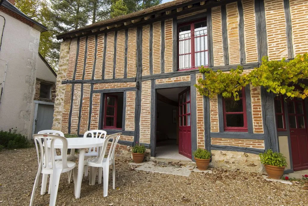 Château de la Frégeolière à Theillay, photo 6