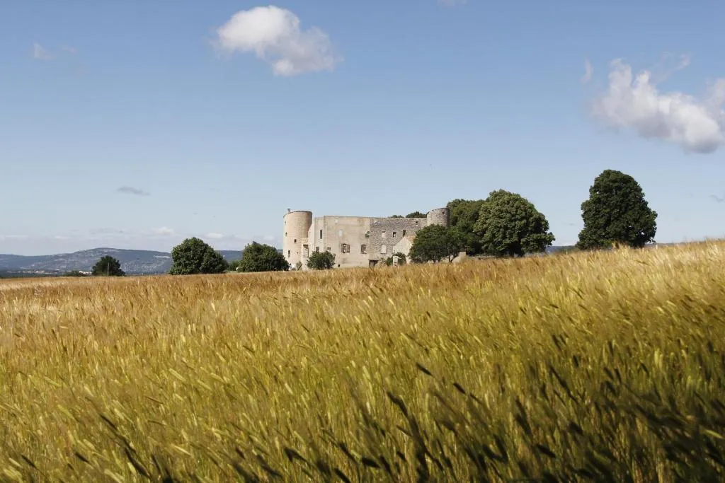 Château de la Gabelle, chambre ou suite de château à Ferrassières