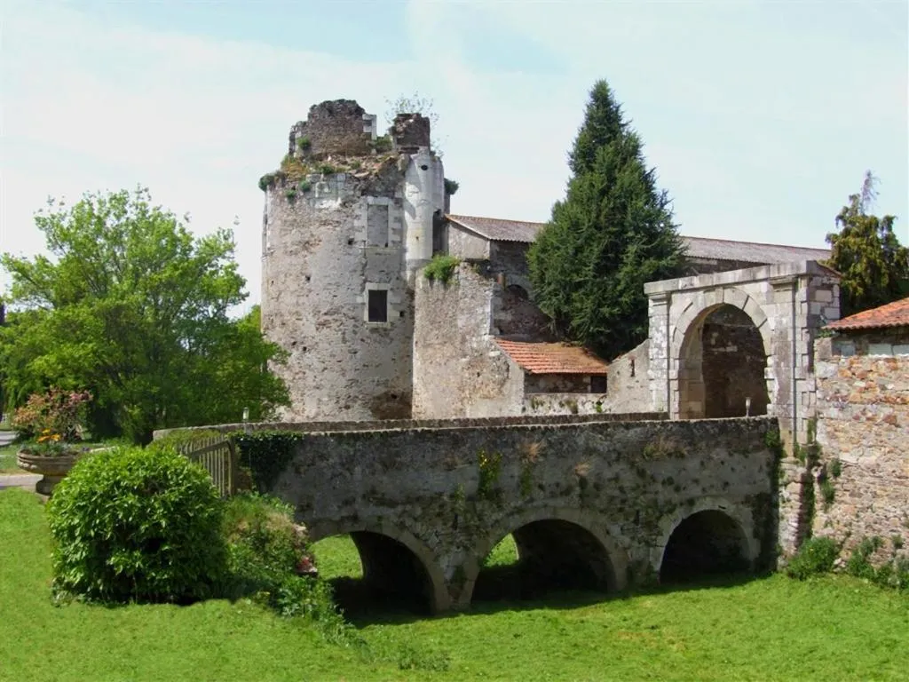 Château de la Galissonnière à Le Pallet, photo 2
