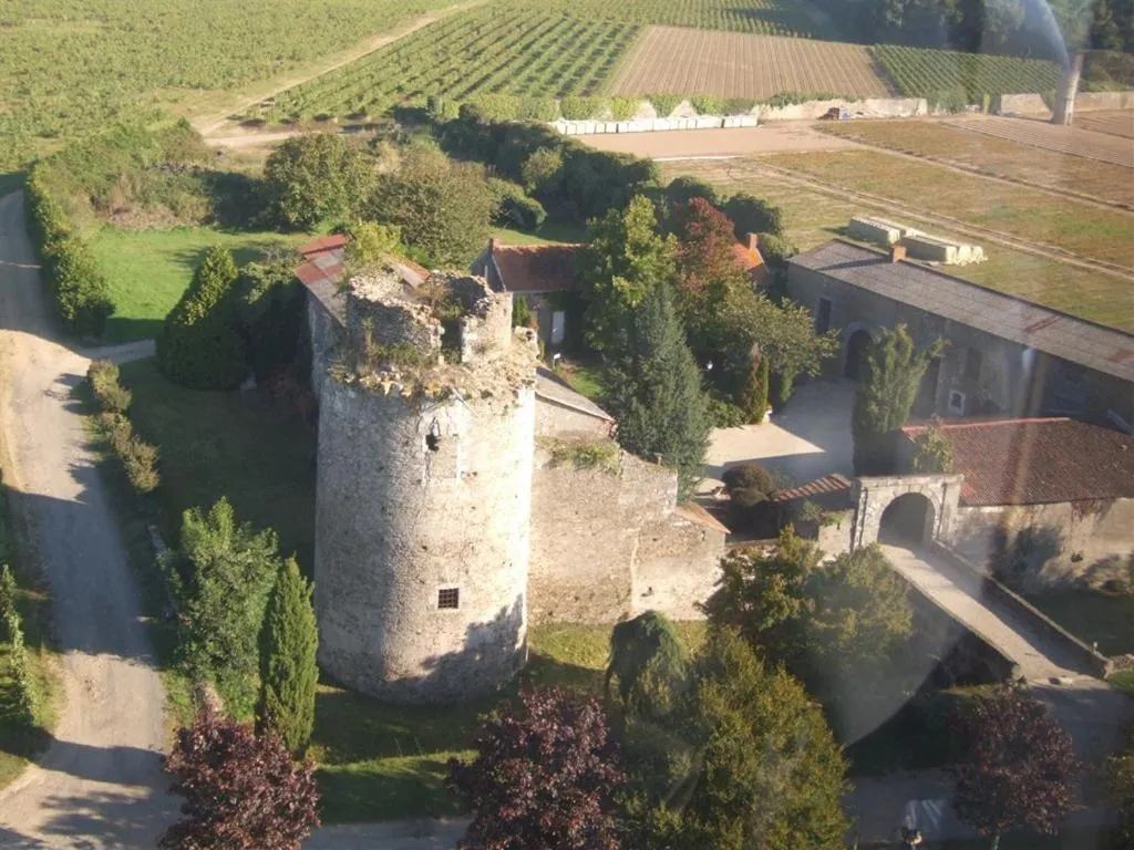 Château de la Galissonnière à Le Pallet, photo 5