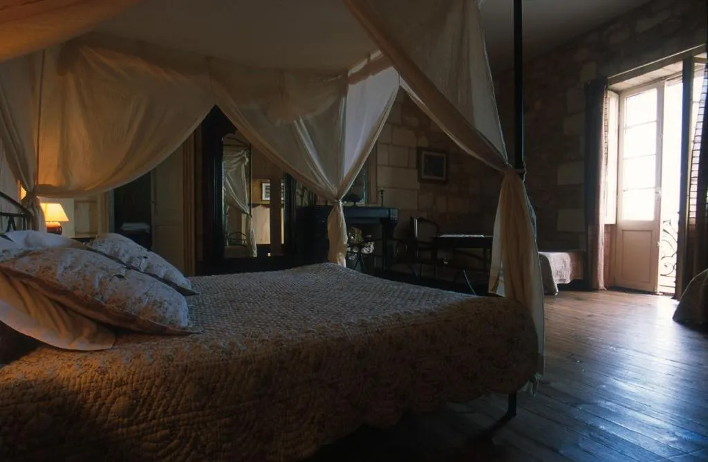 Château de la Grave à Bourg, photo 6
