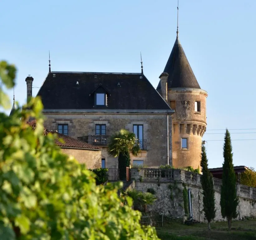 Château de la Grave à Bourg, photo 7