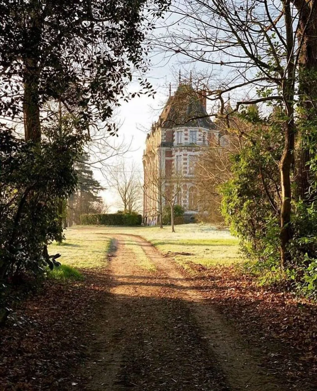 Château de la Jumellière à Chemillé-en-Anjou, photo 6