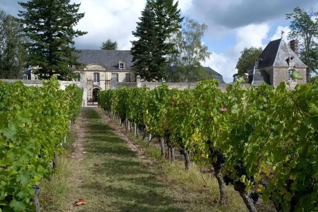 Château de La Platerye à Restigné, photo 3