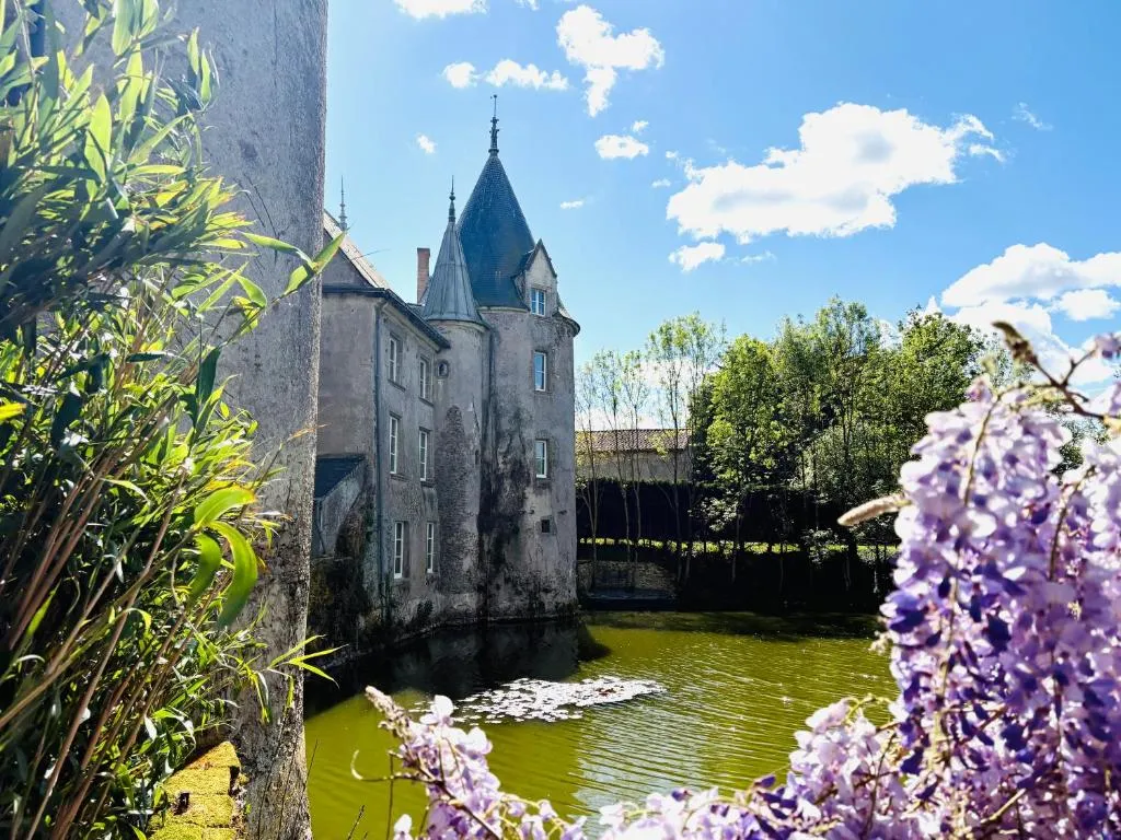 Château de la Preuille, chambre ou suite de château à Montaigu-Vendée
