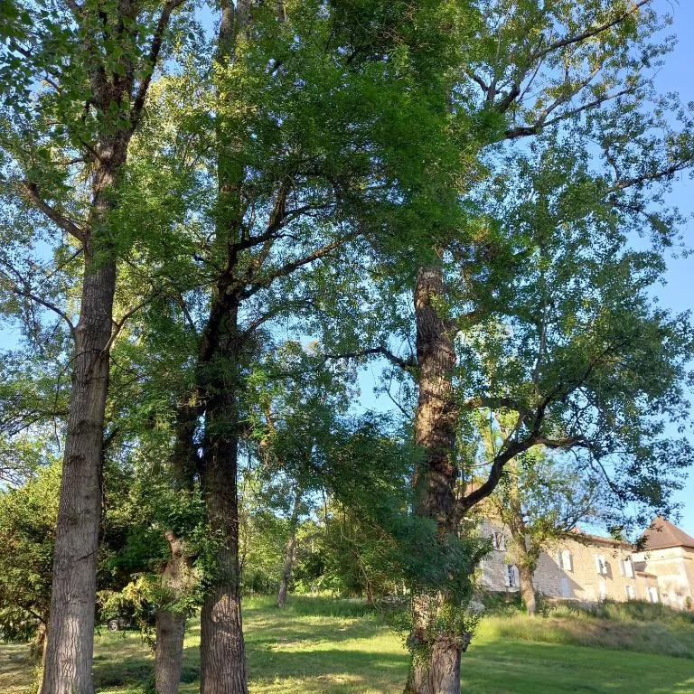 Château de La Renaudie, les chambres à Bonnes, photo 7