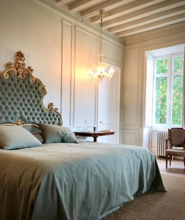 Château de la Tour en Brenne à Rivarennes, photo 5