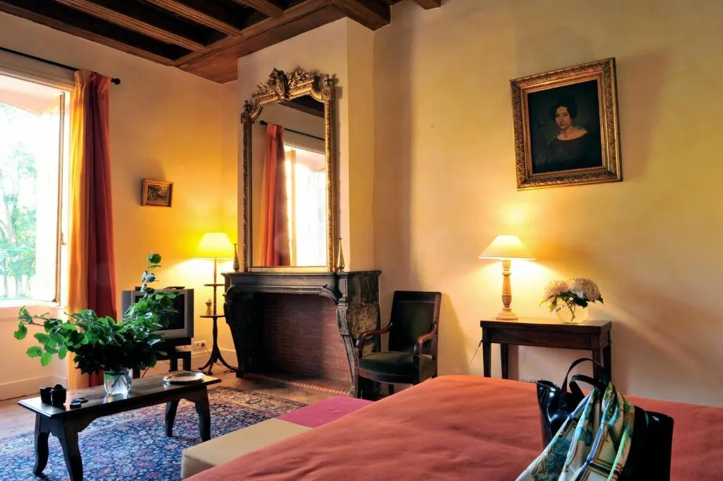 Château de la Venerie à Denicé, photo 2