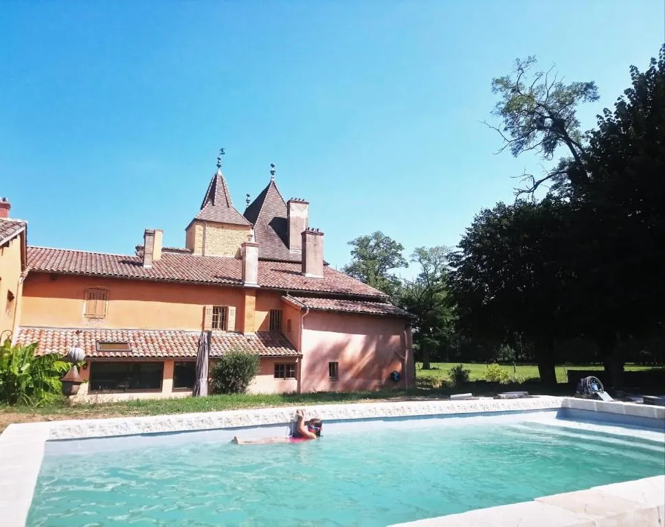 Château de la Venerie à Denicé, photo 4