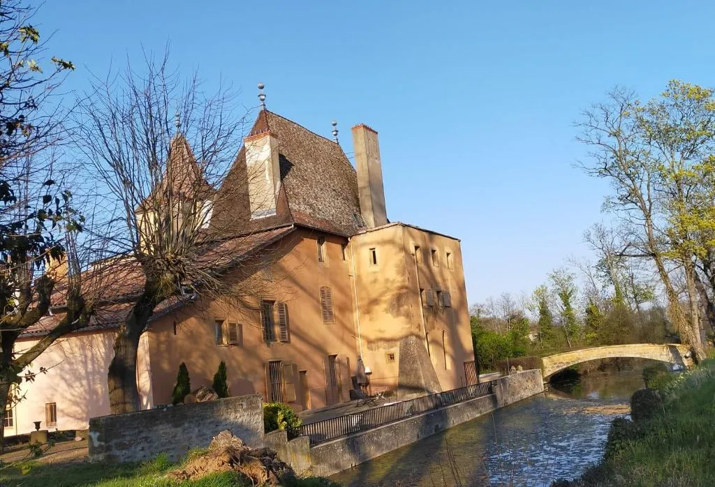 Château de la Venerie à Denicé, photo 6
