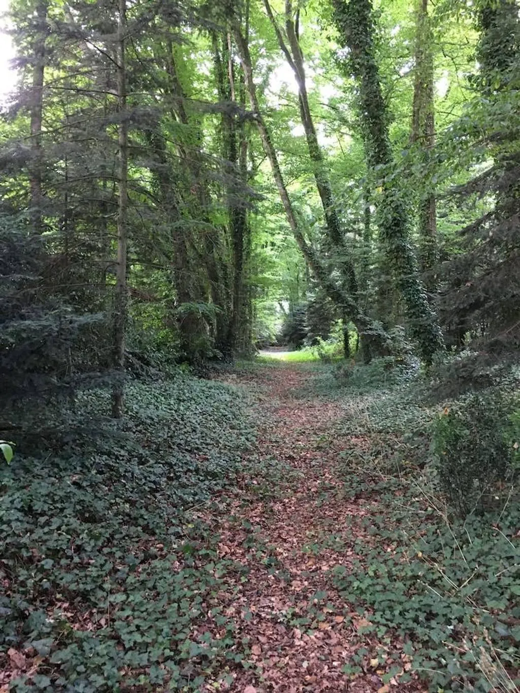 Château de la Ville Voisin à Augan, photo 5