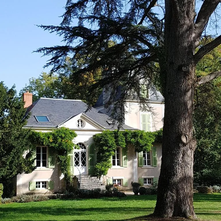 Château de La Villette, chambre ou suite de château à Ardentes
