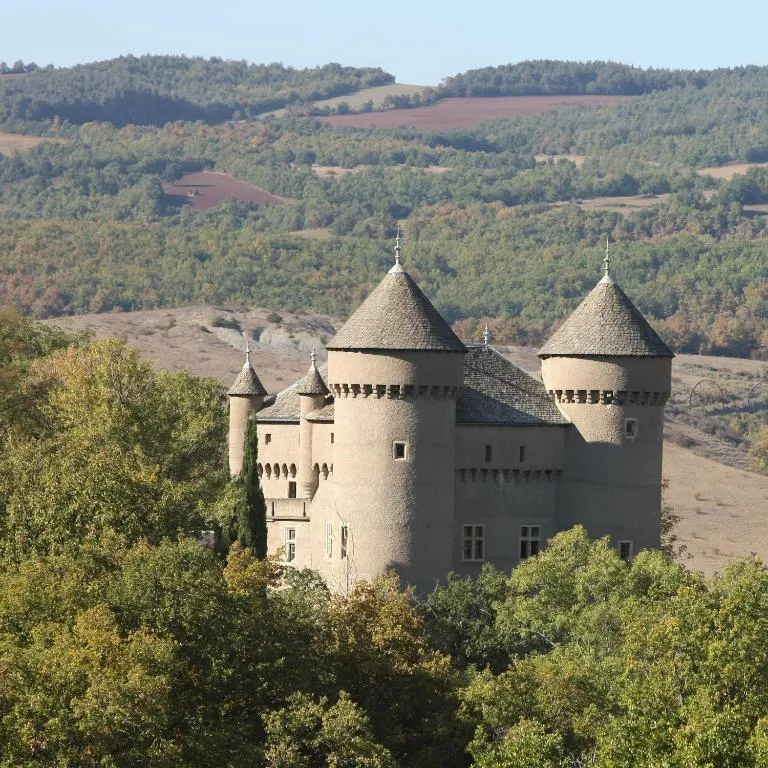 Château de Lugagnac, chambre ou suite de château à Rivière-sur-Tarn