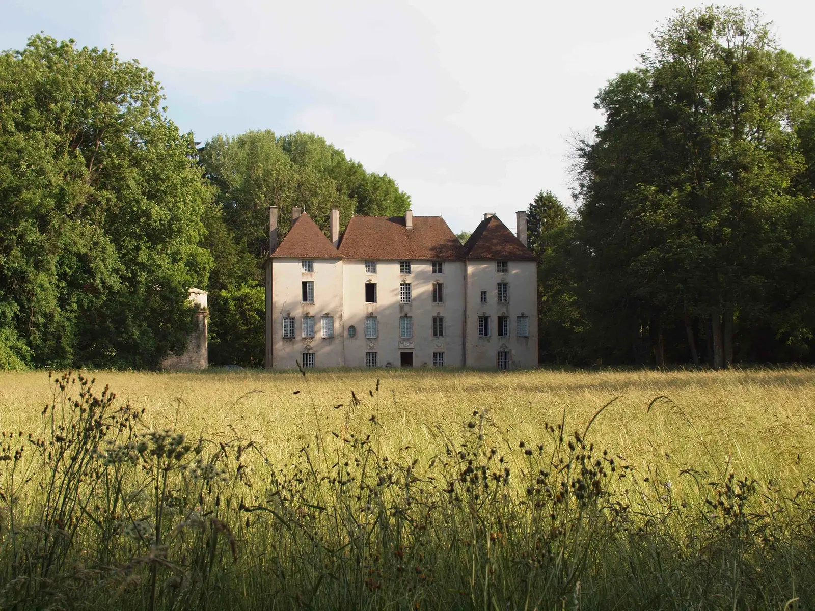 Château de Lusigny, chambre ou suite de château à Lusigny-sur-Ouche