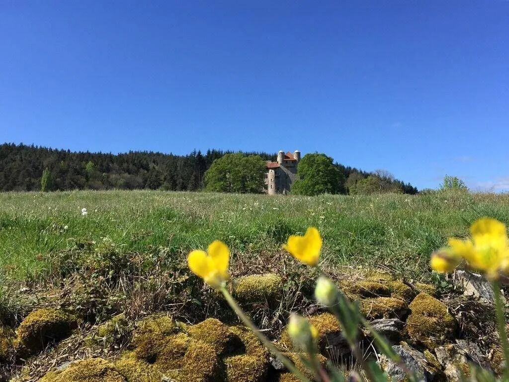 Château de Maisonseule à Saint-Basile, photo 2