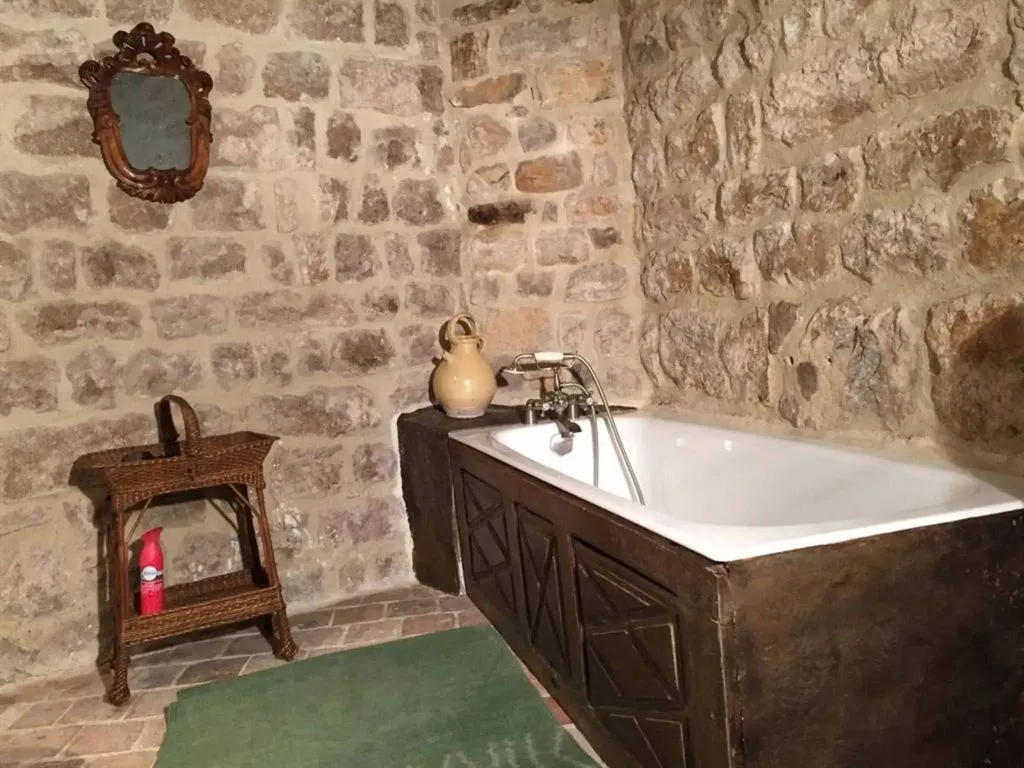 Château de Maisonseule à Saint-Basile, photo 6