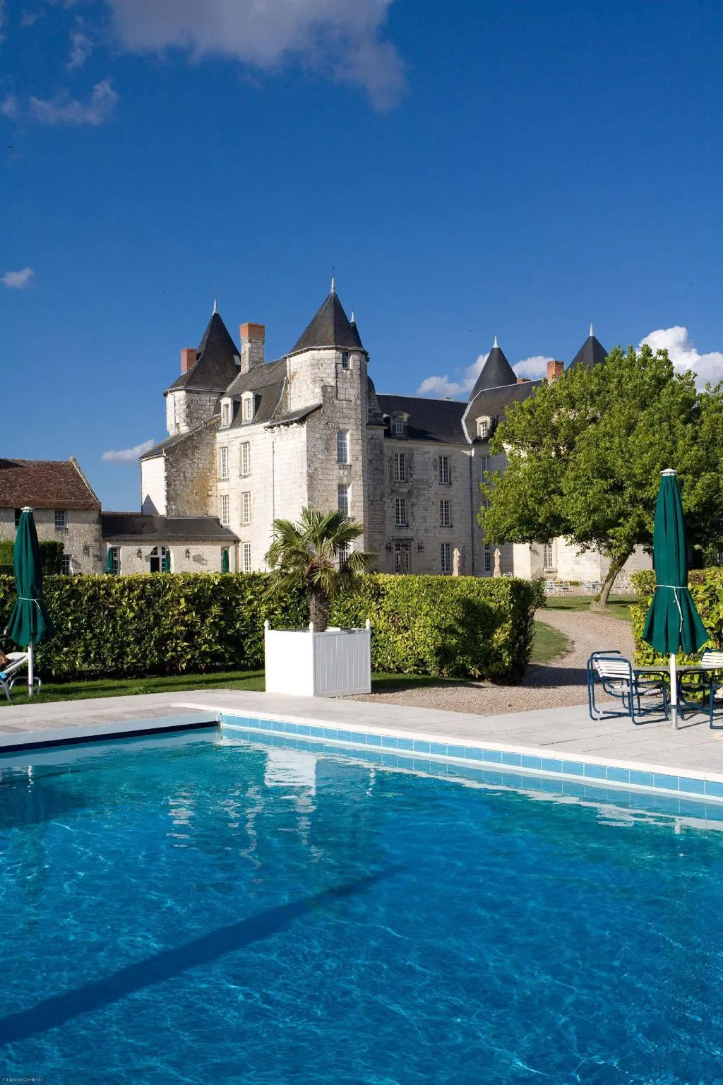 Château de Marçay à Marçay, photo 7