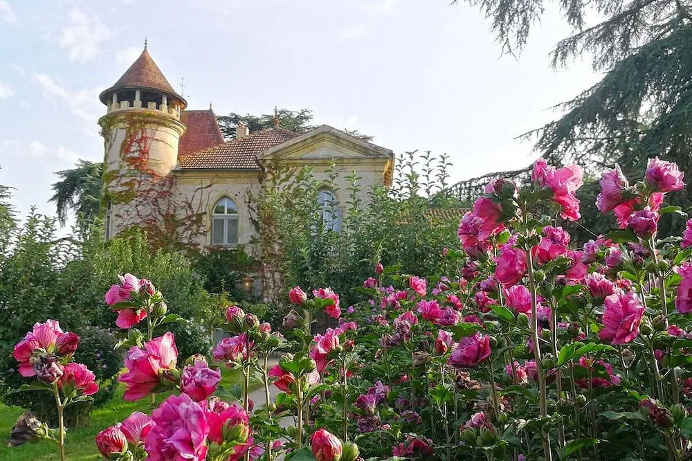 Château de Marteret à Caillavet, photo 4