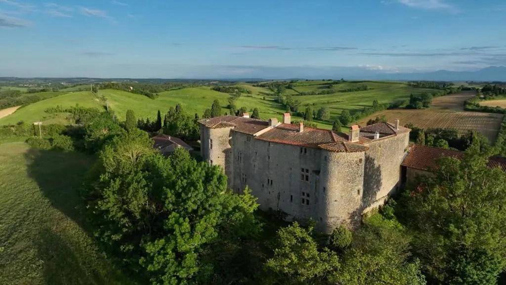 Château de Mézerville à Mézerville, photo 6