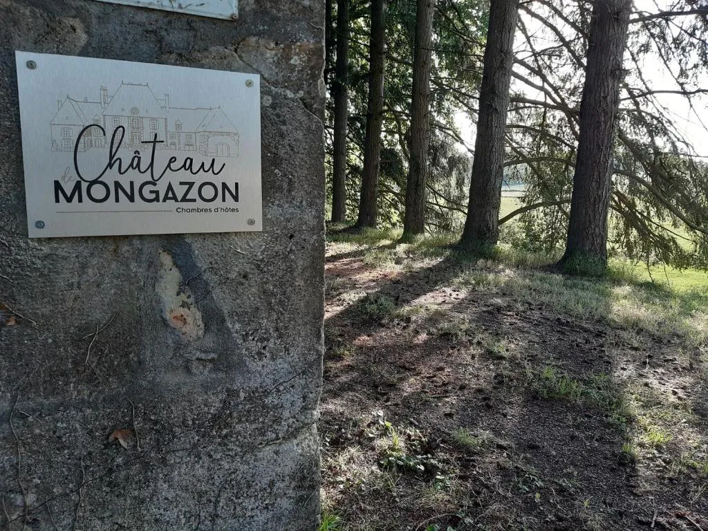 Château de Mongazon, chambre ou suite de château à Saint-Franchy
