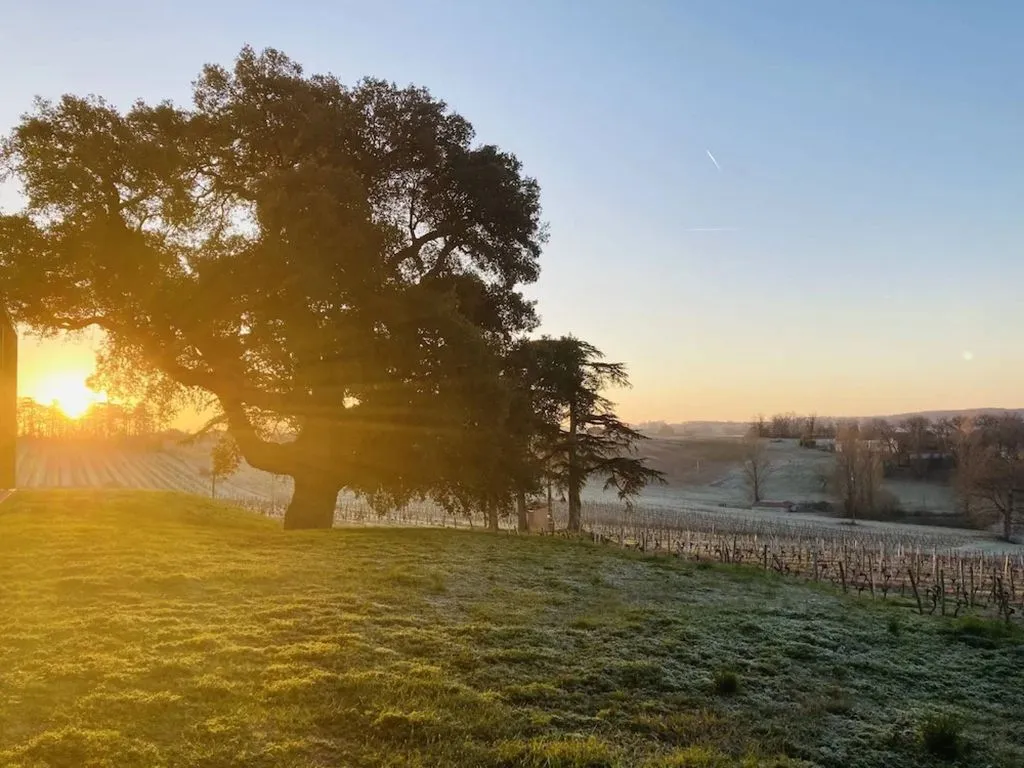 Château de Mons en Armagnac à Caussens, photo 3