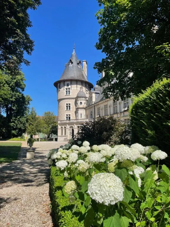 Château de Montigny-sur-Aube, chambre ou suite de château à Montigny-sur-Aube