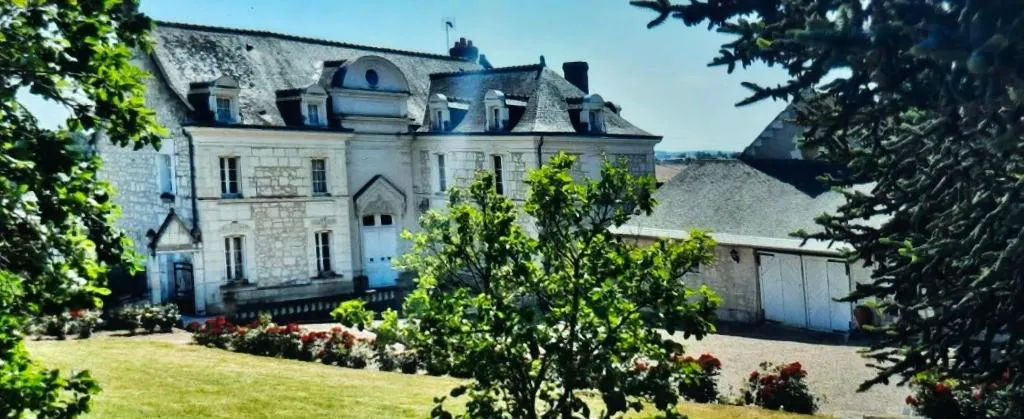 Château de Naie à Avon-les-Roches, photo 6