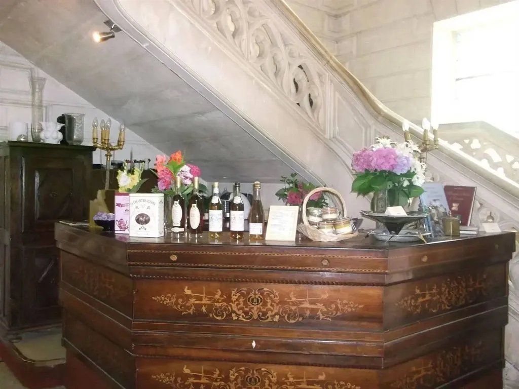 Château de Nieuil à Nieuil, photo 6