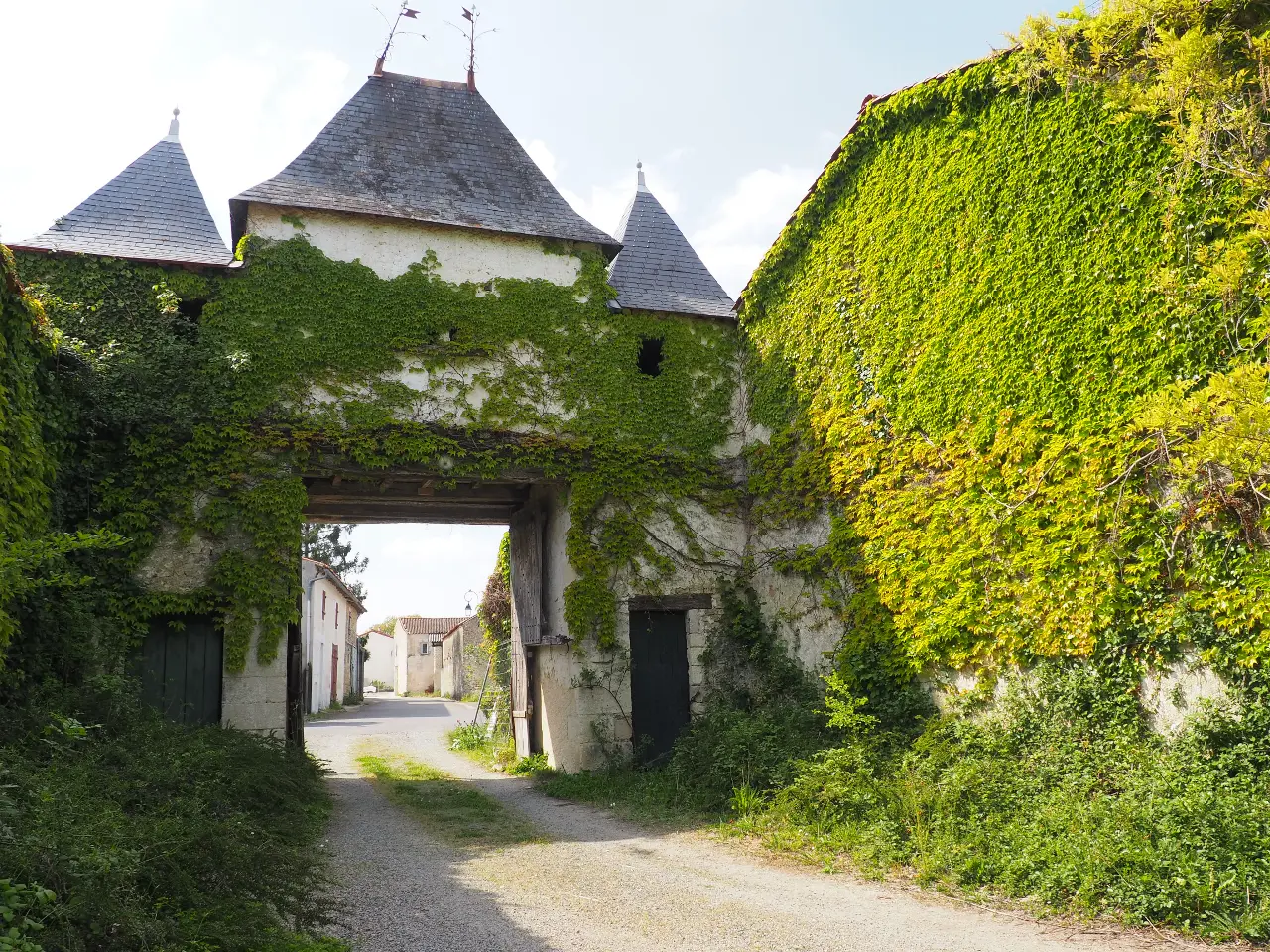 Château de Parançay, château entier à Bernay-Saint-Martin