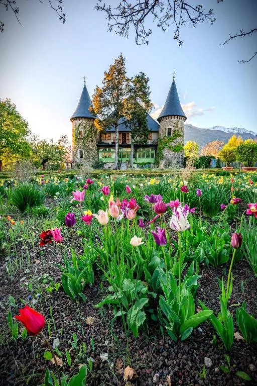 Château de Picomtal à Crots, photo 7