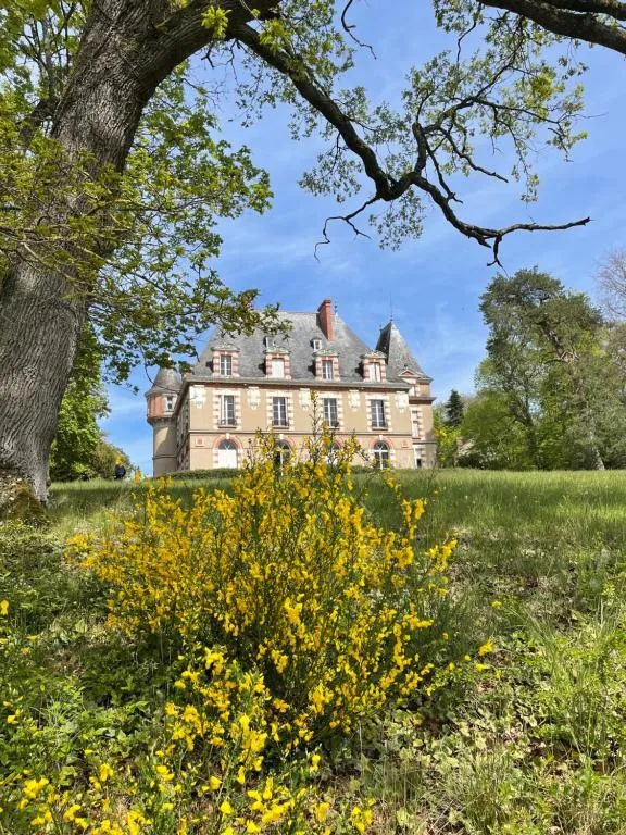 Château de Praslins à Nogent-sur-Vernisson, photo 6