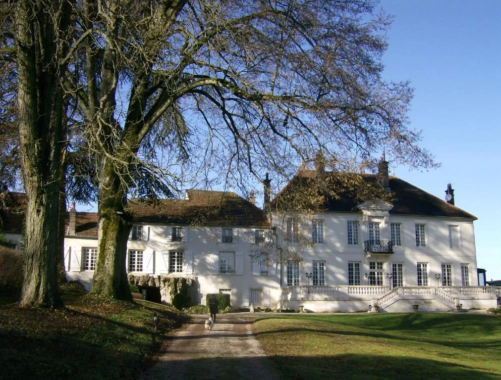 Château de Prauthoy, chambre ou suite de château à Le Montsaugeonnais