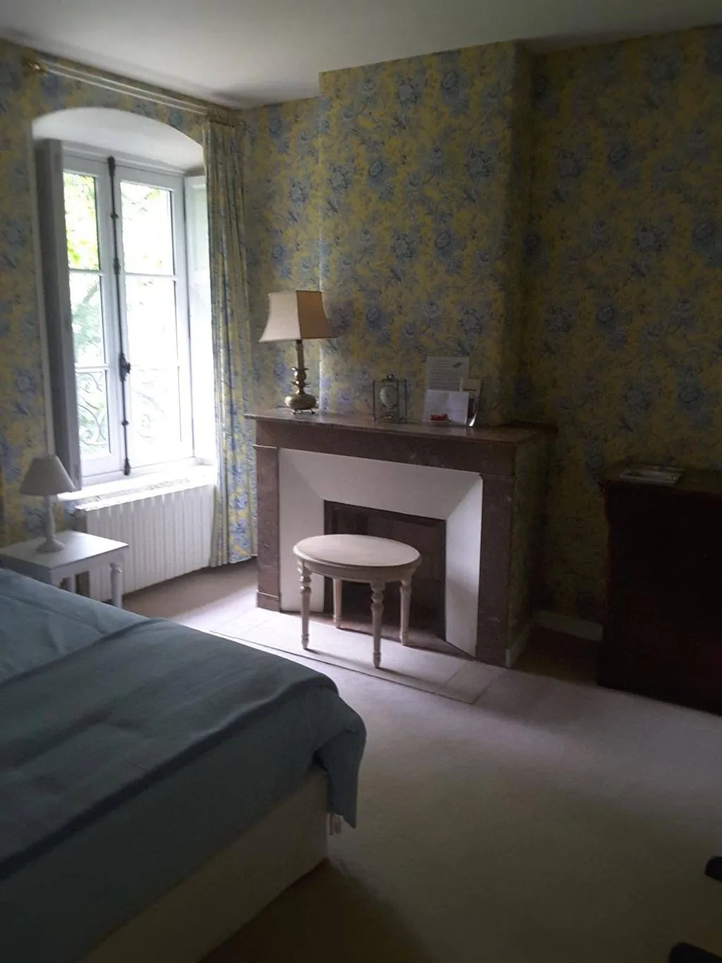 Château de Ré à Le Petit-Pressigny, photo 5