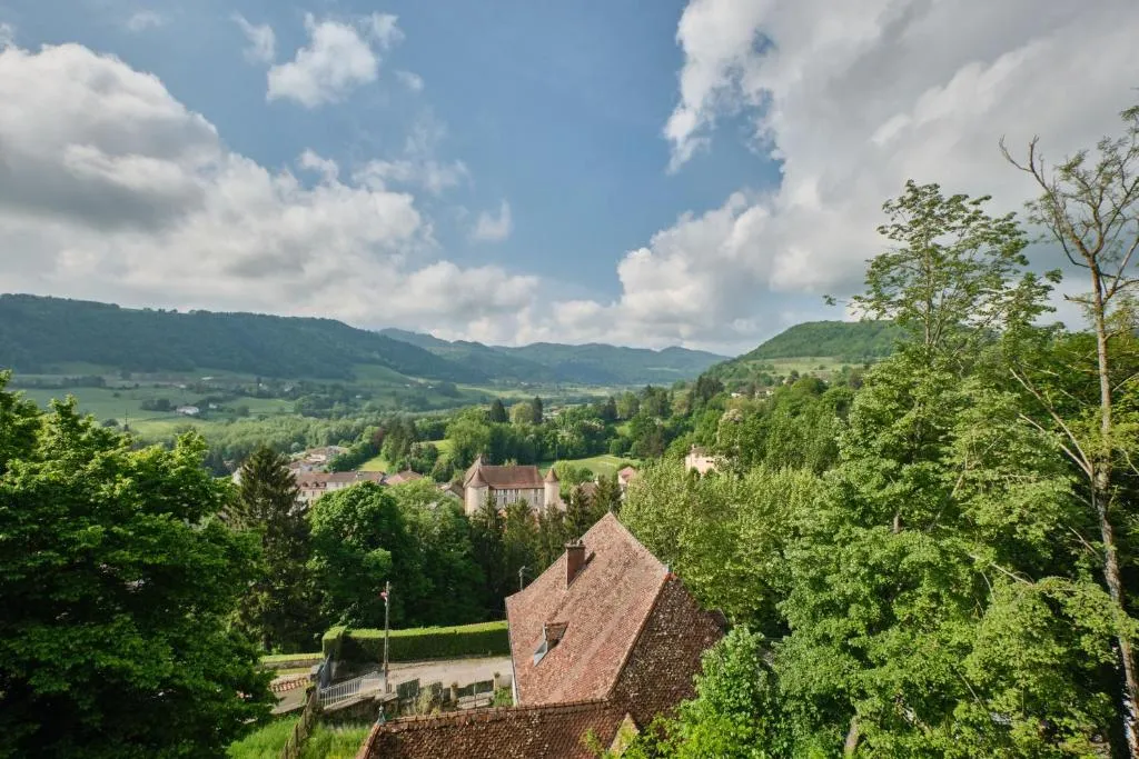 Château de Saint-Geoire à Saint-Geoire-en-Valdaine, photo 7