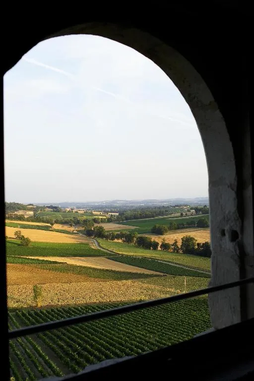 Château de Salettes à Cahuzac-sur-Vère, photo 6